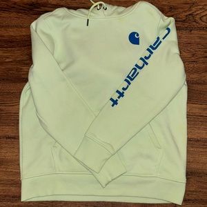 Green and Blue Carhartt Sweatshirt